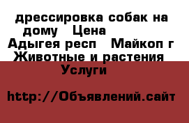 дрессировка собак на дому › Цена ­ 16 000 - Адыгея респ., Майкоп г. Животные и растения » Услуги   